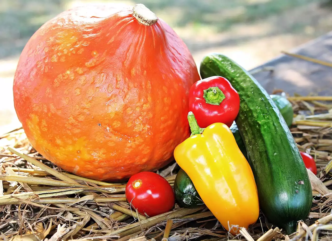 Sfruttare al meglio i prodotti di stagione: una guida alle verdure autunnali
